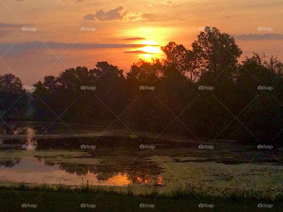 Sunrise Amber