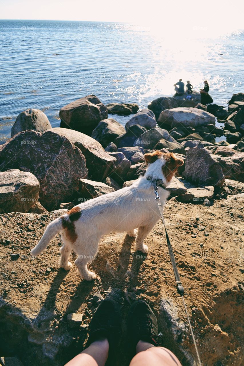 Water, No Person, Beach, Outdoors, Sea