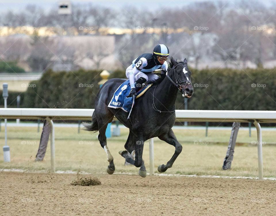 Independence Hall winning the 150th Jerome Stakes at Aqueduct
