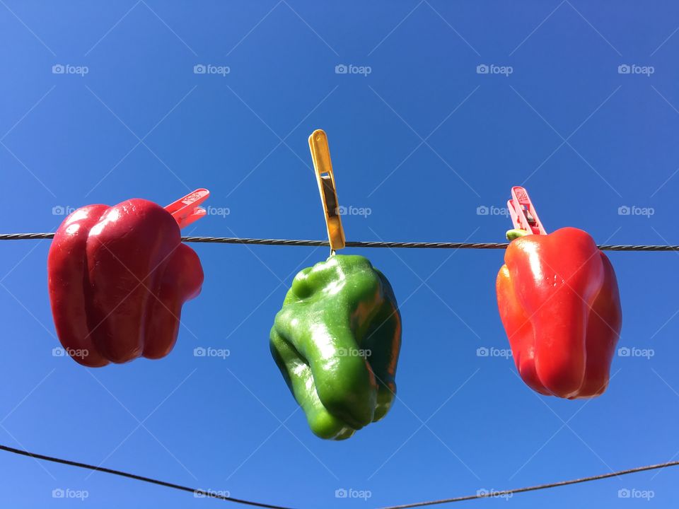 Sweet red and green bell peppers hanging on clothesline against a vivid blue sky just because!