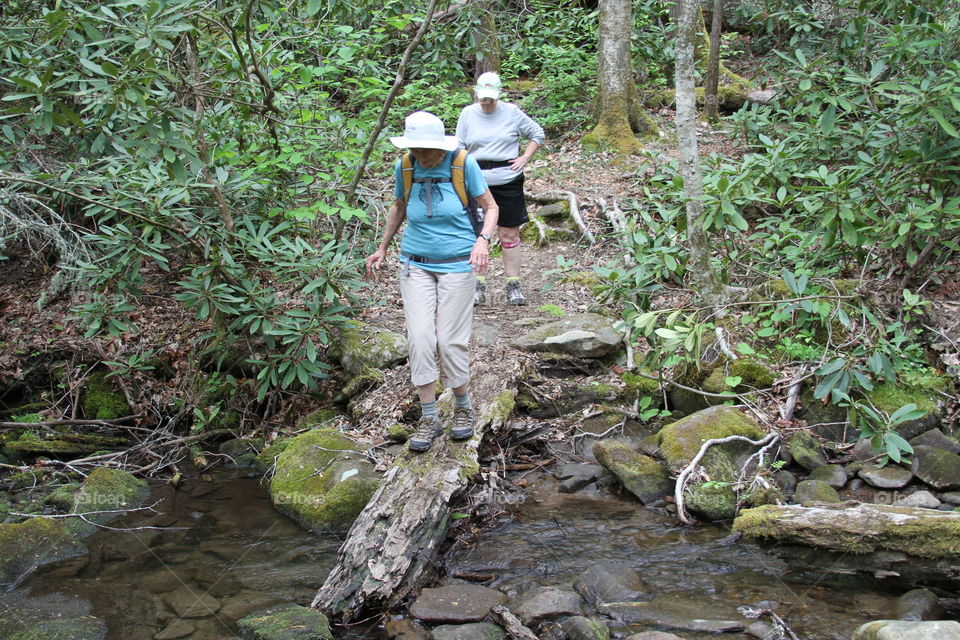 Hikers crossing footbridge