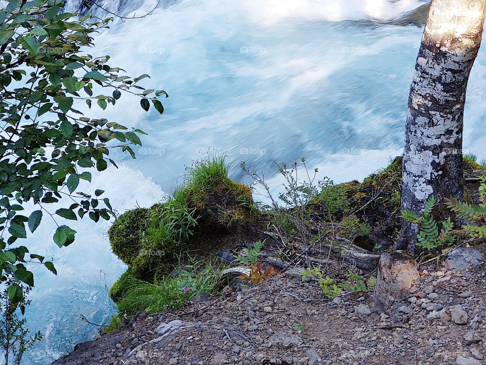 The sun rises on the rapids of the McKenzie River at Koosah Falls in Western Oregon on a summer morning.