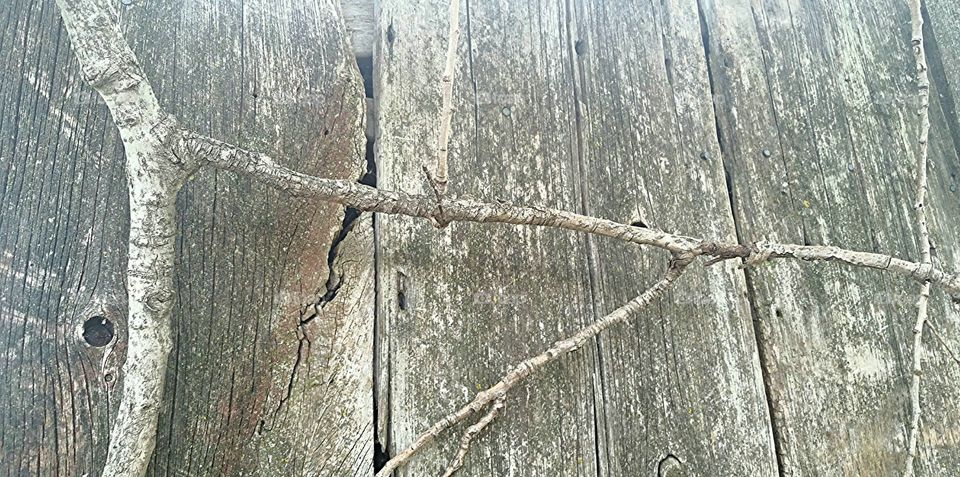 Wood plank and vine