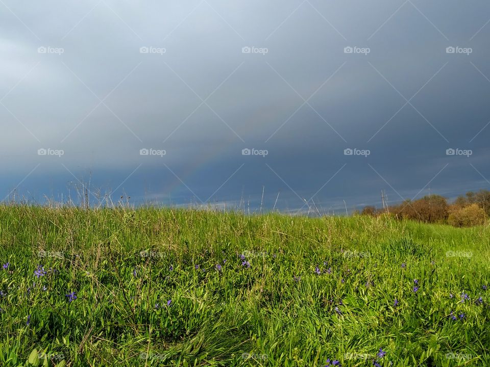 The spring rainbow and beautiful green meadow