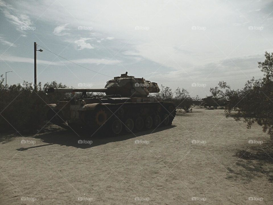 Just a walk in the park