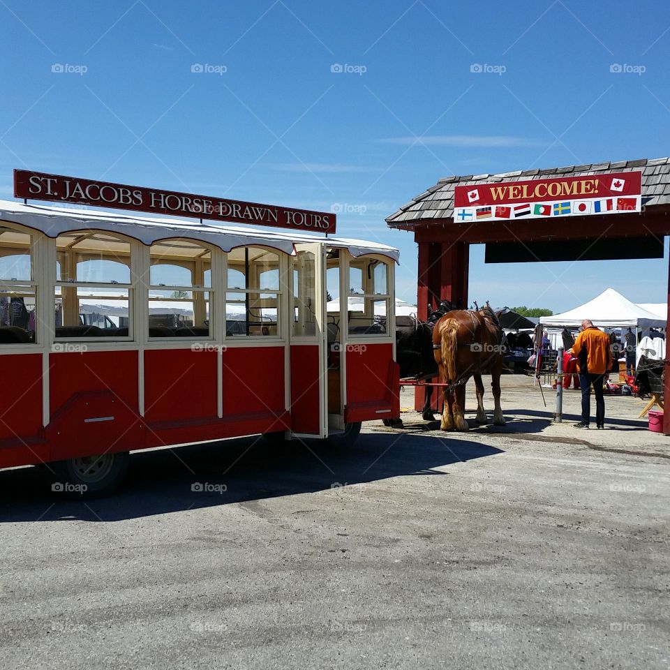A Day at the Farmers Market