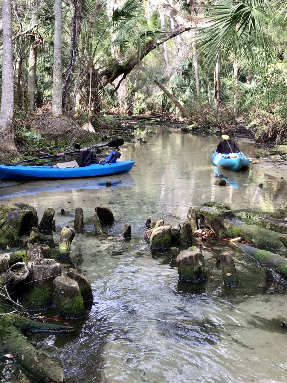 Exploring the Baird’s River by kayaking and walking the river. 