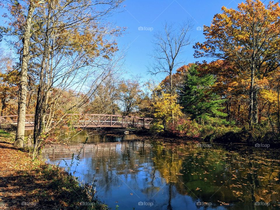 Autumn Park