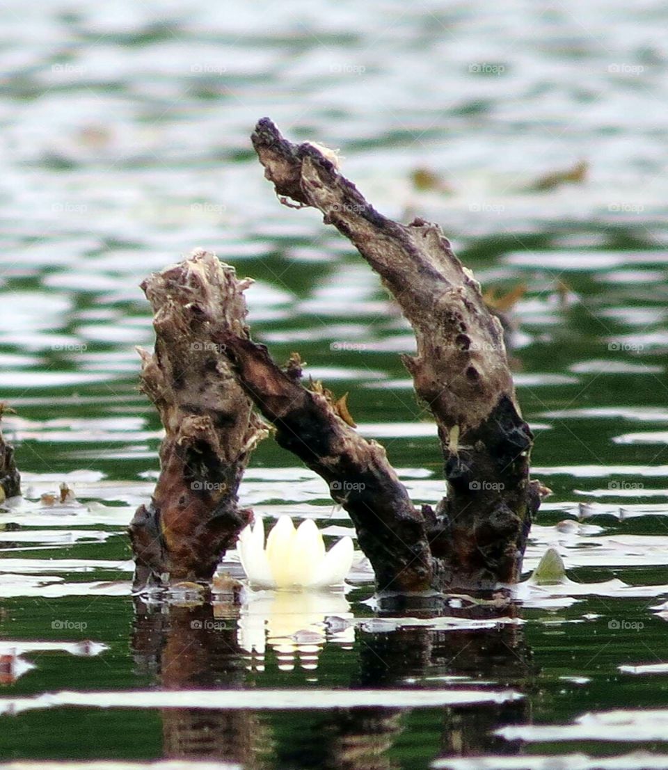 Contrast of soft and hard