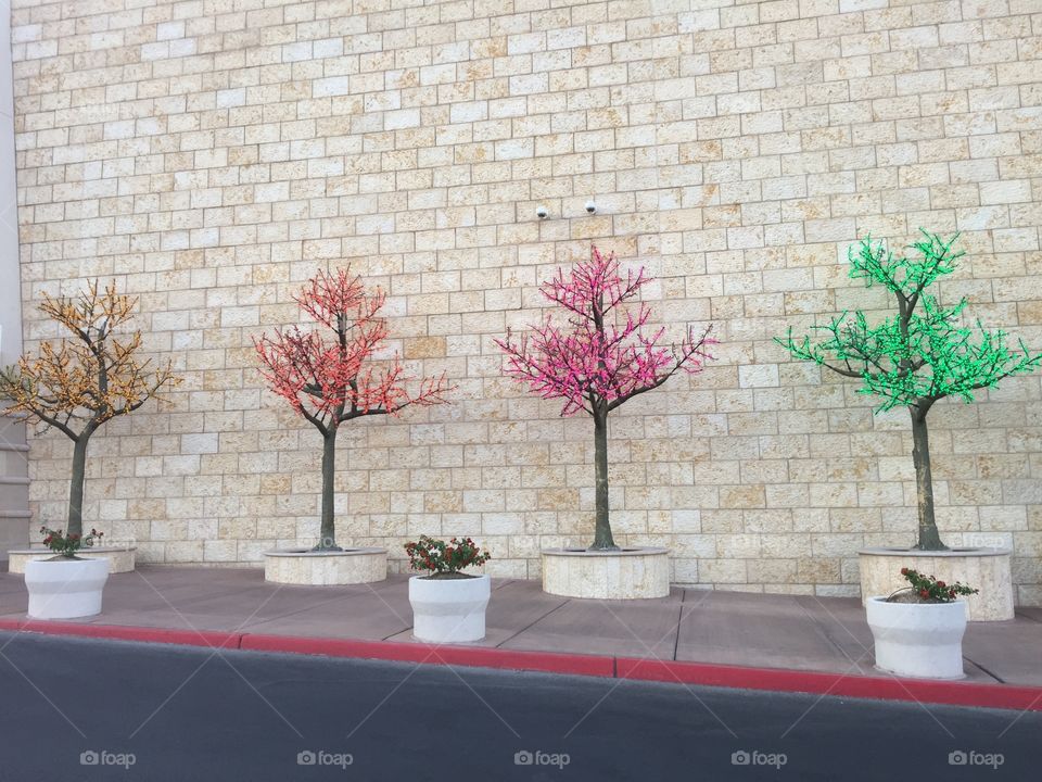 Colorful
Light
Tree