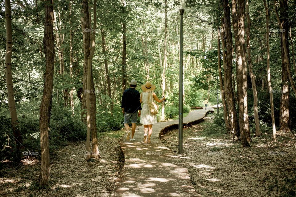 Wooden path in the forest.  Leisure and travel.