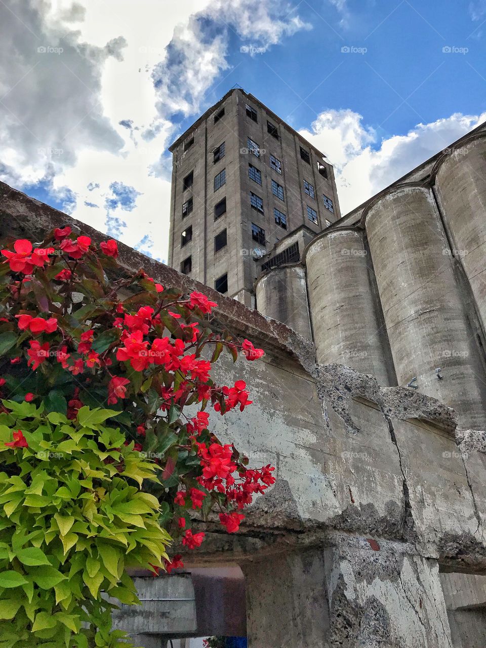 Grain silos