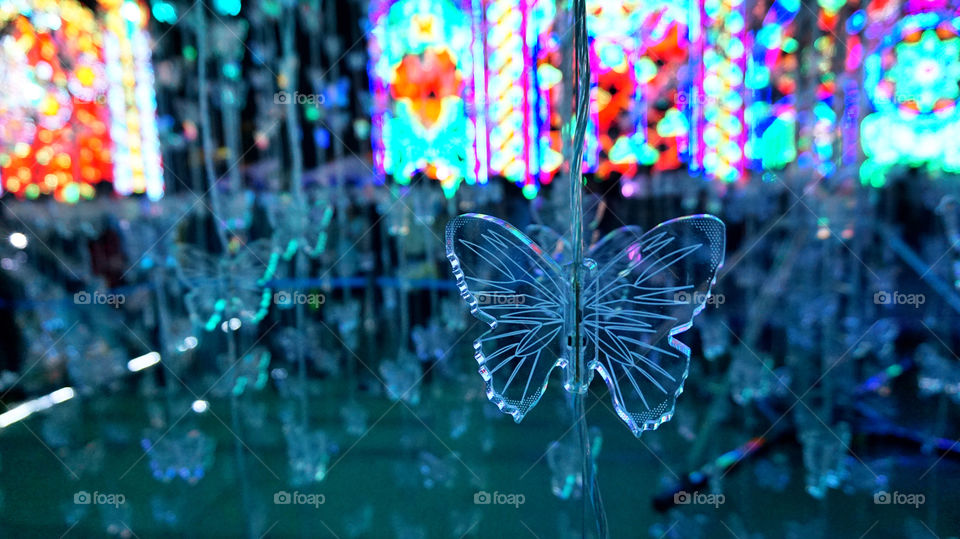 Butterfly light New Year Eve  Colorful 