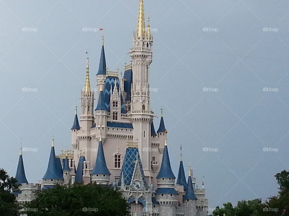 Disney castle 