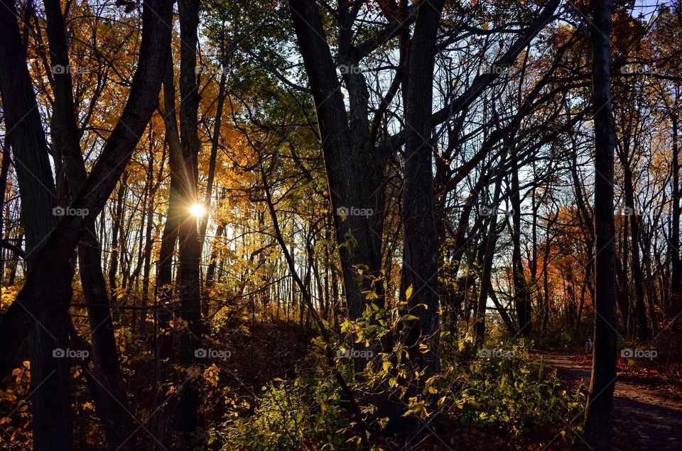 September Hike in Wisconsin 