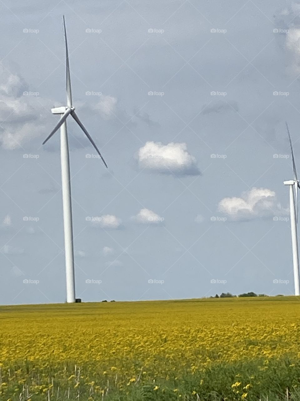 Windmill in field