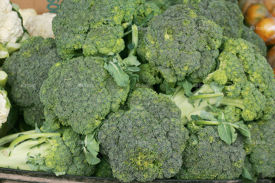 green fresh broccoli close up