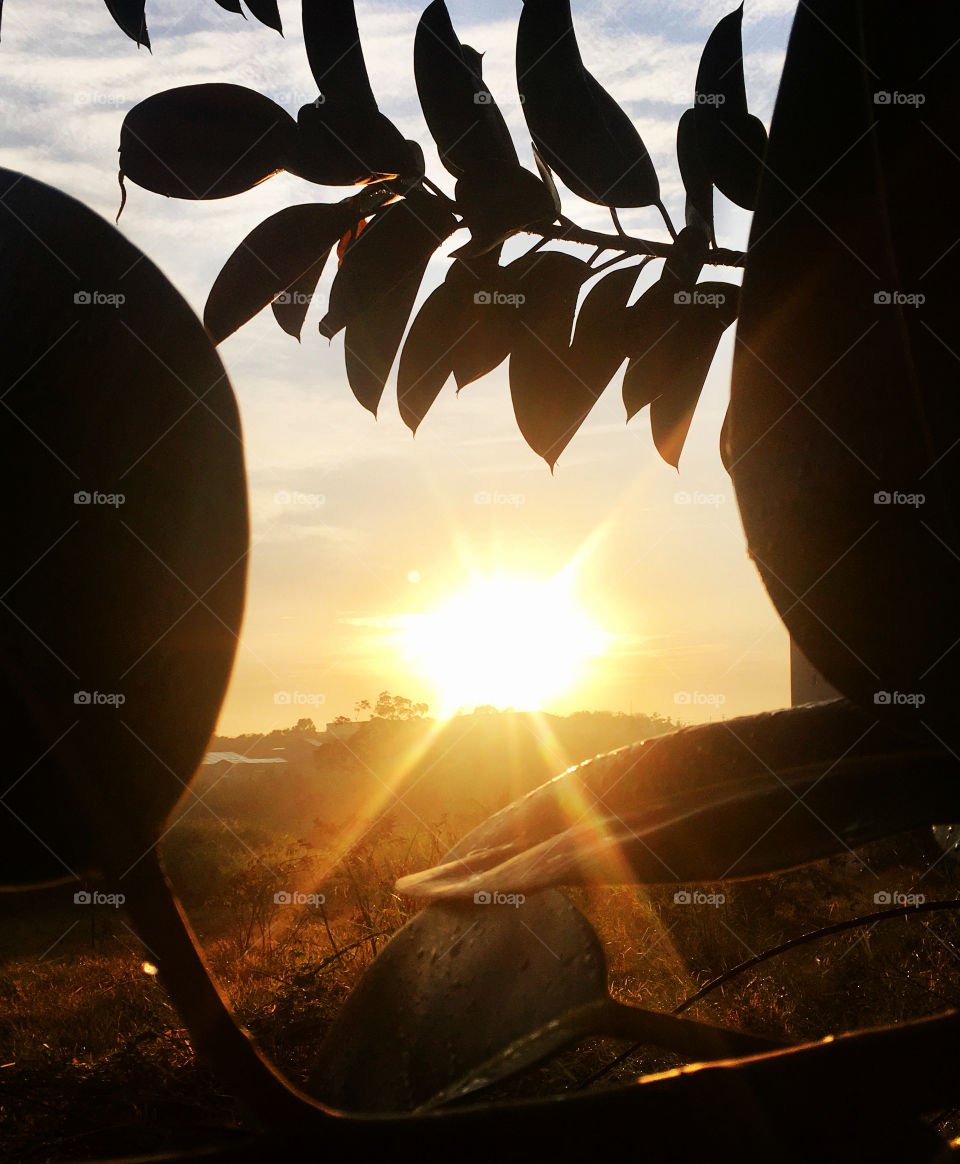 🌄🇺🇸 An extremely beautiful dawn in Jundiaí, interior of Brazil. Cheer the nature! / 🇧🇷 Um amanhecer extremamente bonito em Jundiaí, interior do Brasil. Viva a natureza!