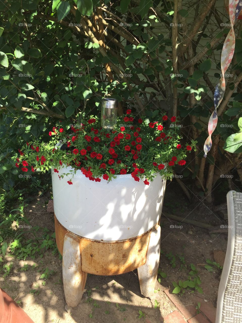 Old washtub of flowers 