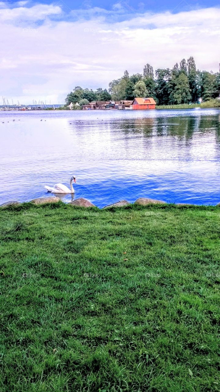 idyllic nature lake