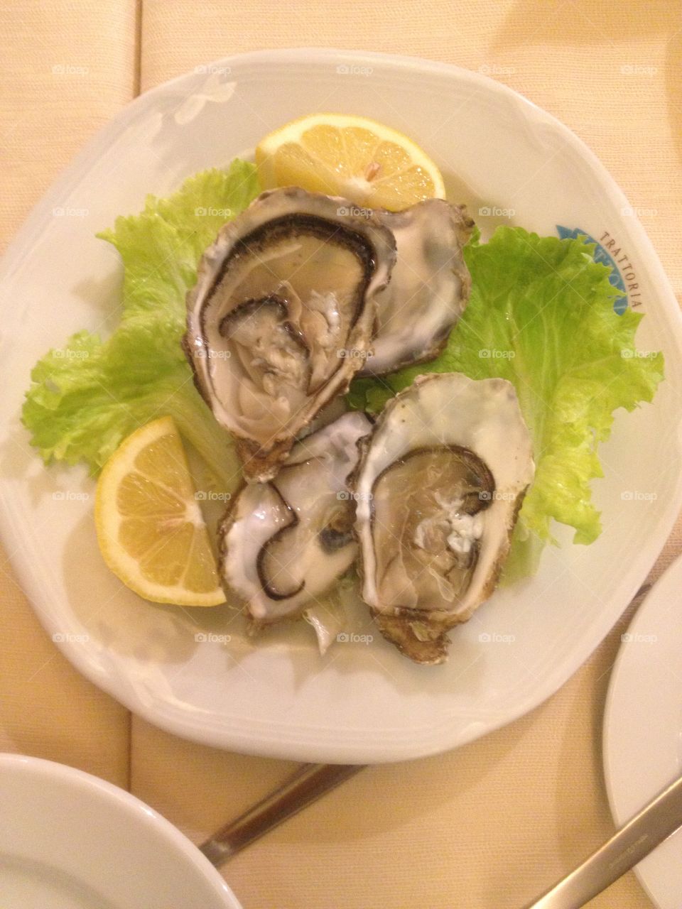 oysters. oysters with lemon on a plate ready to eat