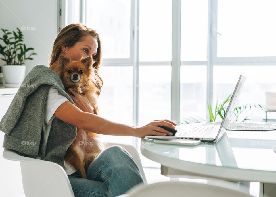 Young adult forty years beautiful blonde woman with long hair working on laptop sitting on kitchen with her dog at home, remote work, video call, freelancer