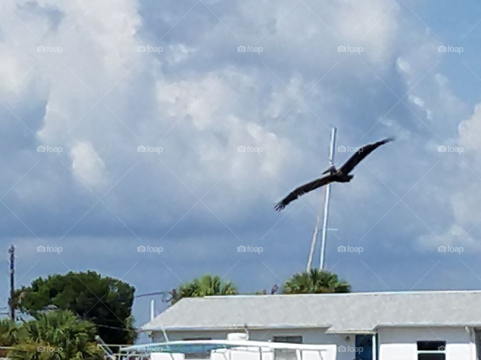 in flight