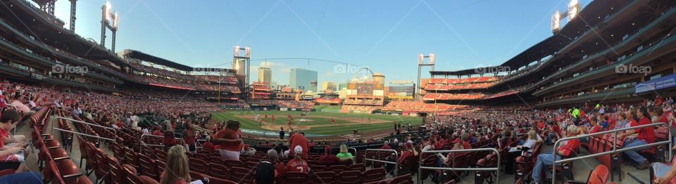 Panoramic at Louis Cardinals stadium baseball game 