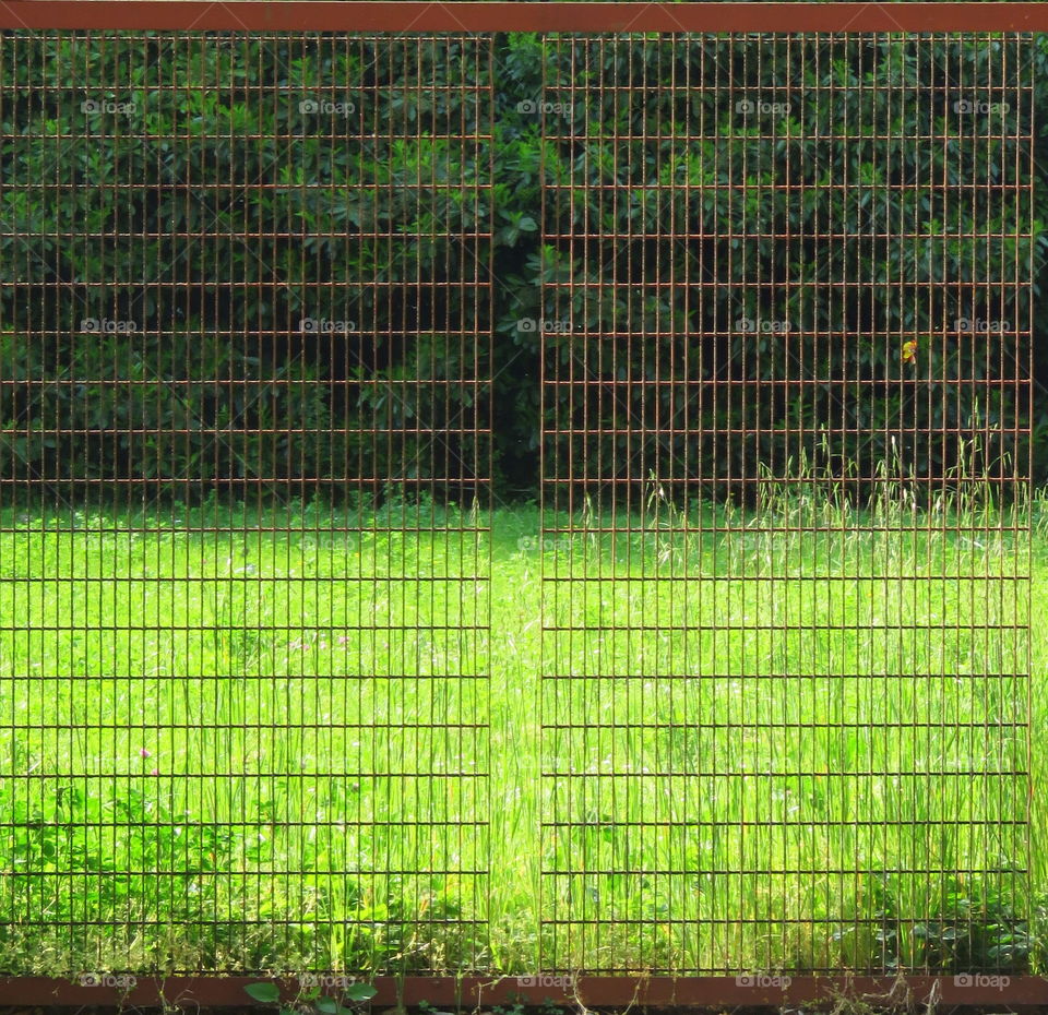 the  Green behind the gate