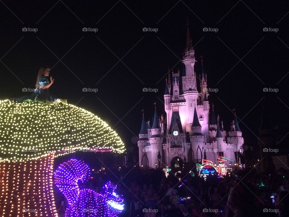 Disney Parade, Magic Kingdom, Travel, June 2016, #Disney, #Disney World, #Orlando, #MainStreet, #Electric MainStreet, 