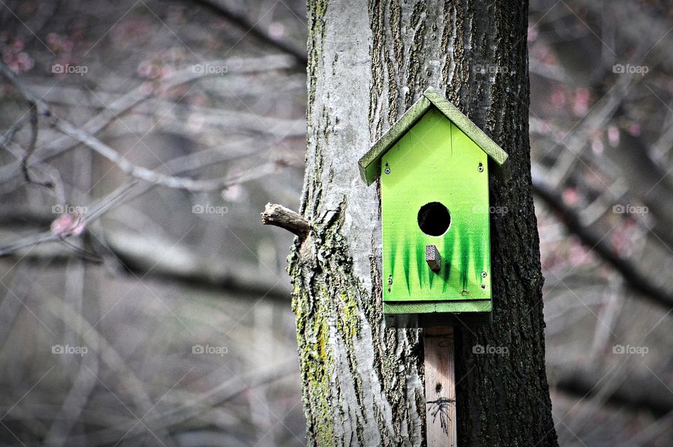 Bird feeder