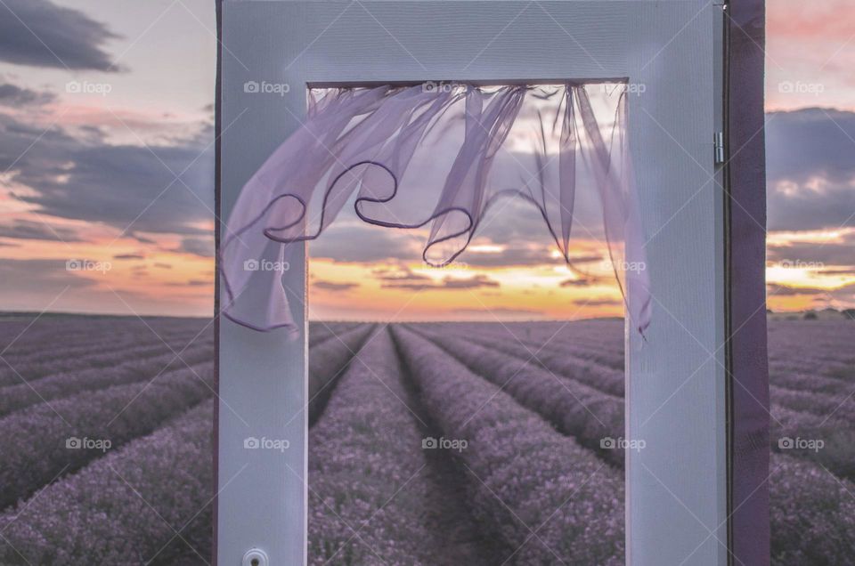 A door in purple with curtain on lavender field