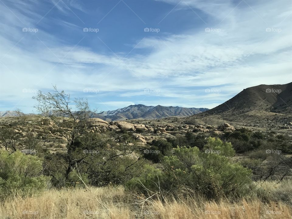 Arizona