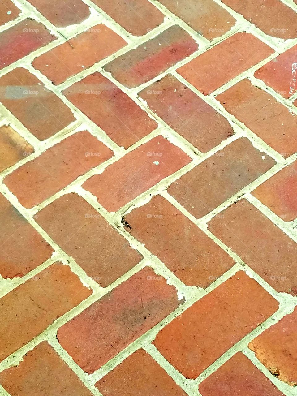 Paving Bricks