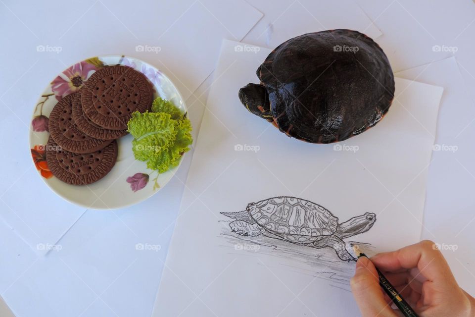 Cookies for me and lettuce for Donna