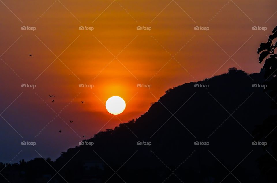 Birds flying in sky during sunset