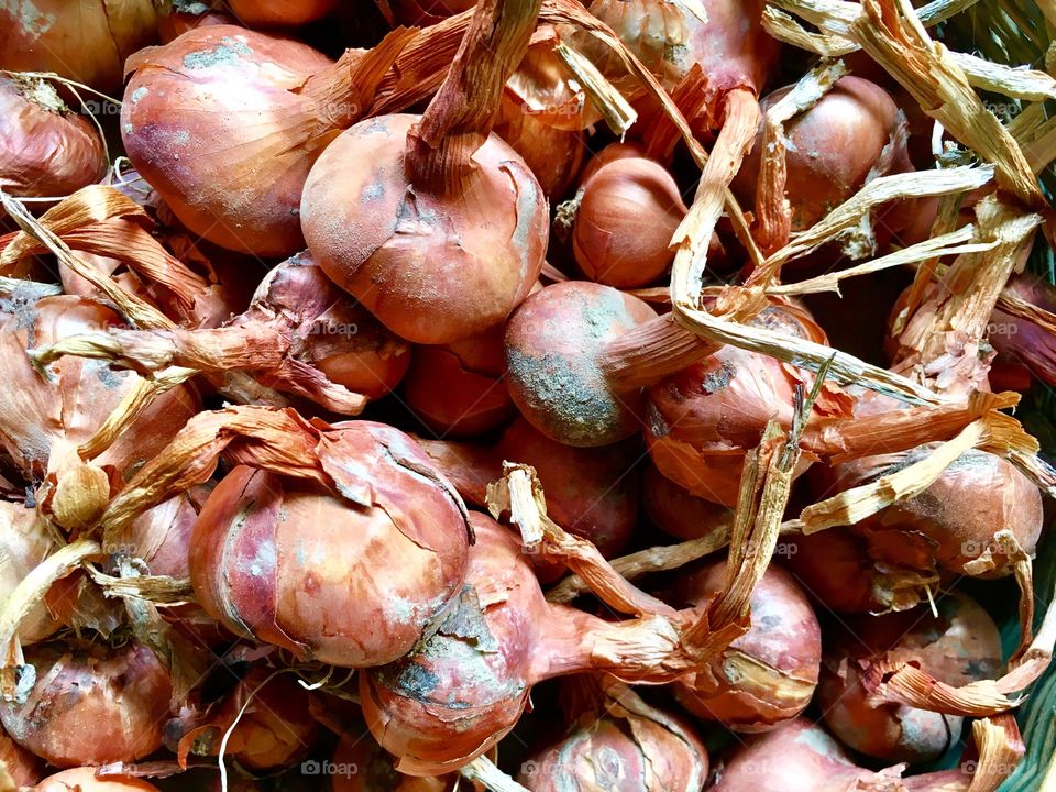 garden products in composition om the basket