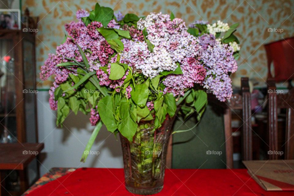 Lilacs in a vase