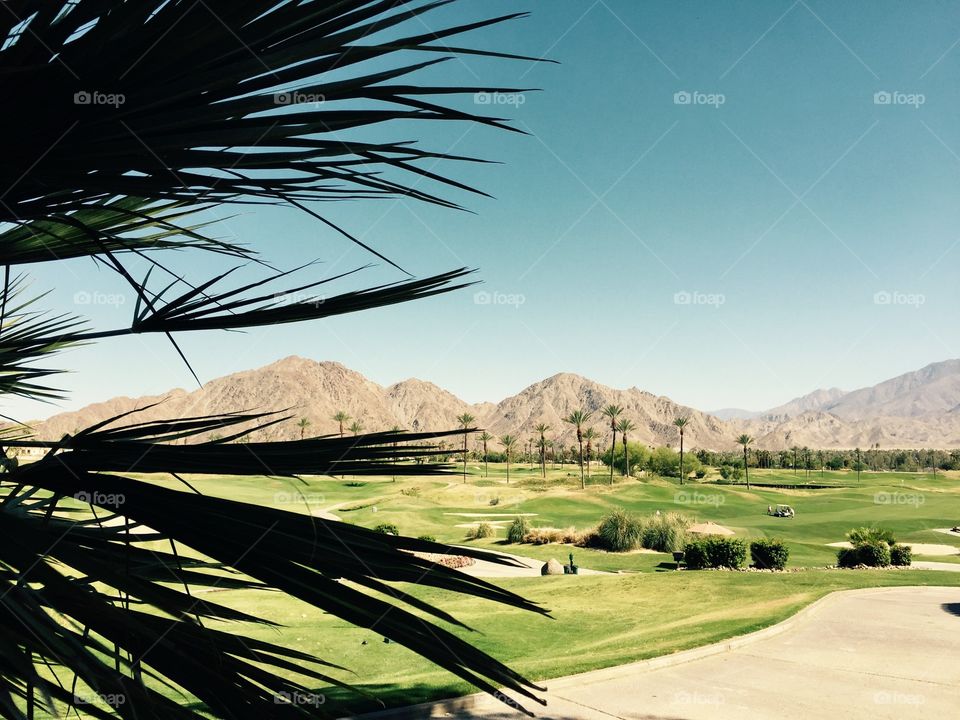 La Quinta Golf Course, Palm Springs