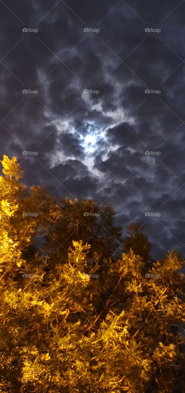 Moonlight on an autumn night