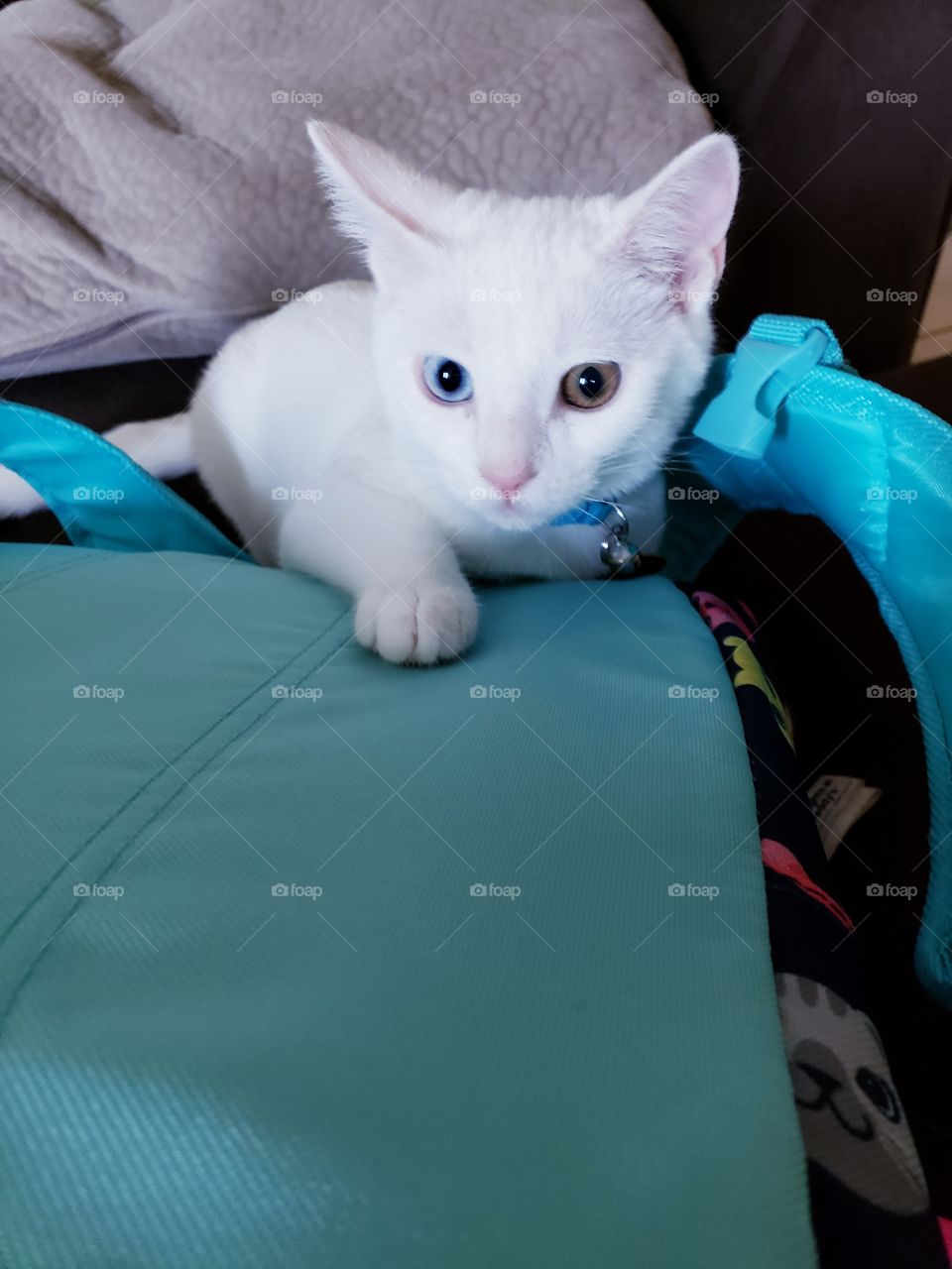 First Day Back to school