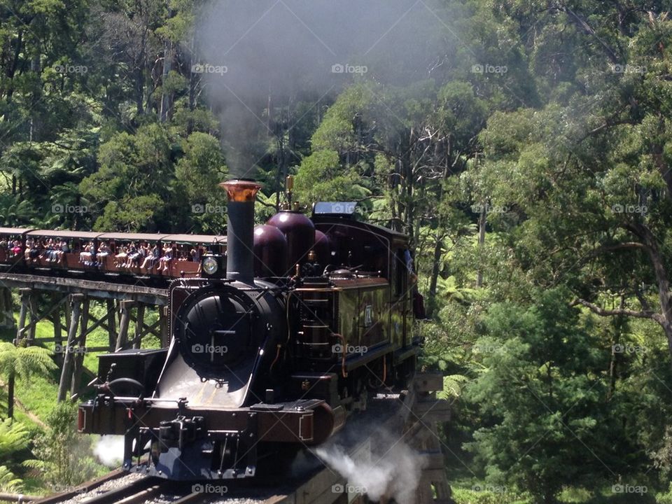 Puffing billy Melbourne 