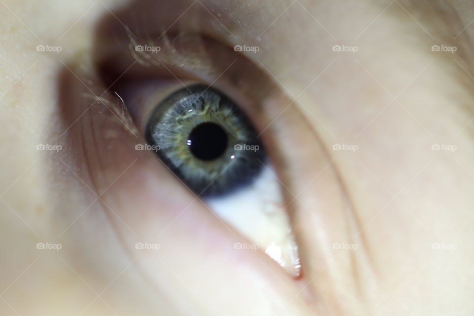 Close-up of an eye