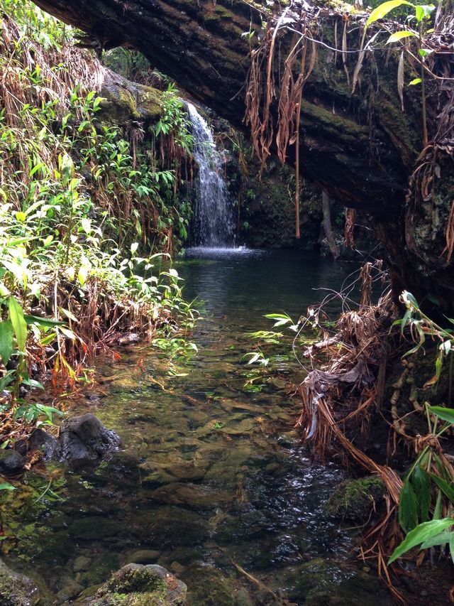waterfall 