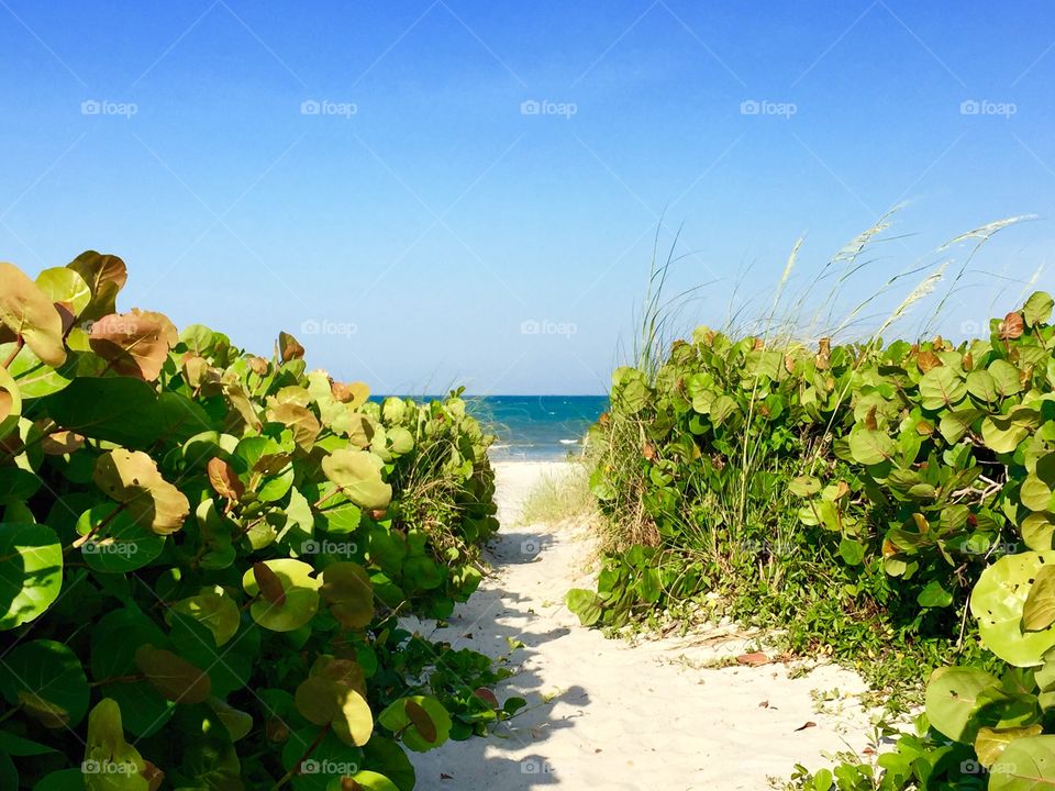 Beach path at Cocoa