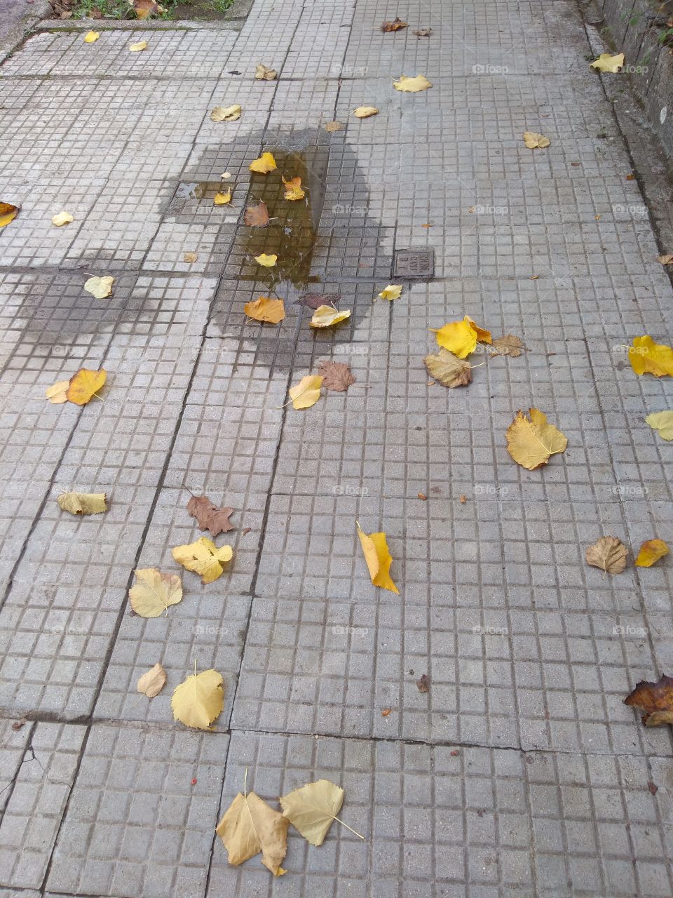 Colors of 2021: Ultimate Gray & Illuminating