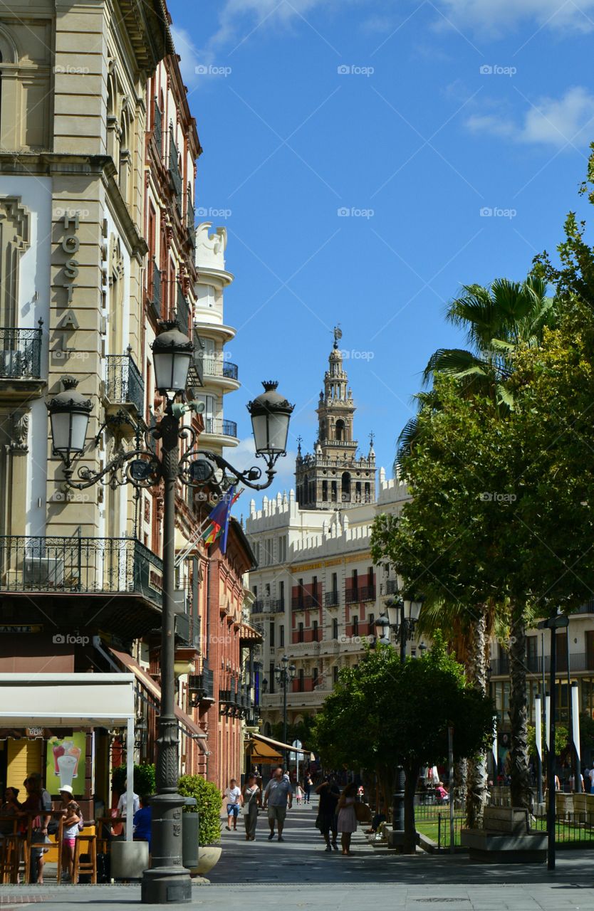 View of La Giralda tower in Sevilla, Andalucía, Spain.