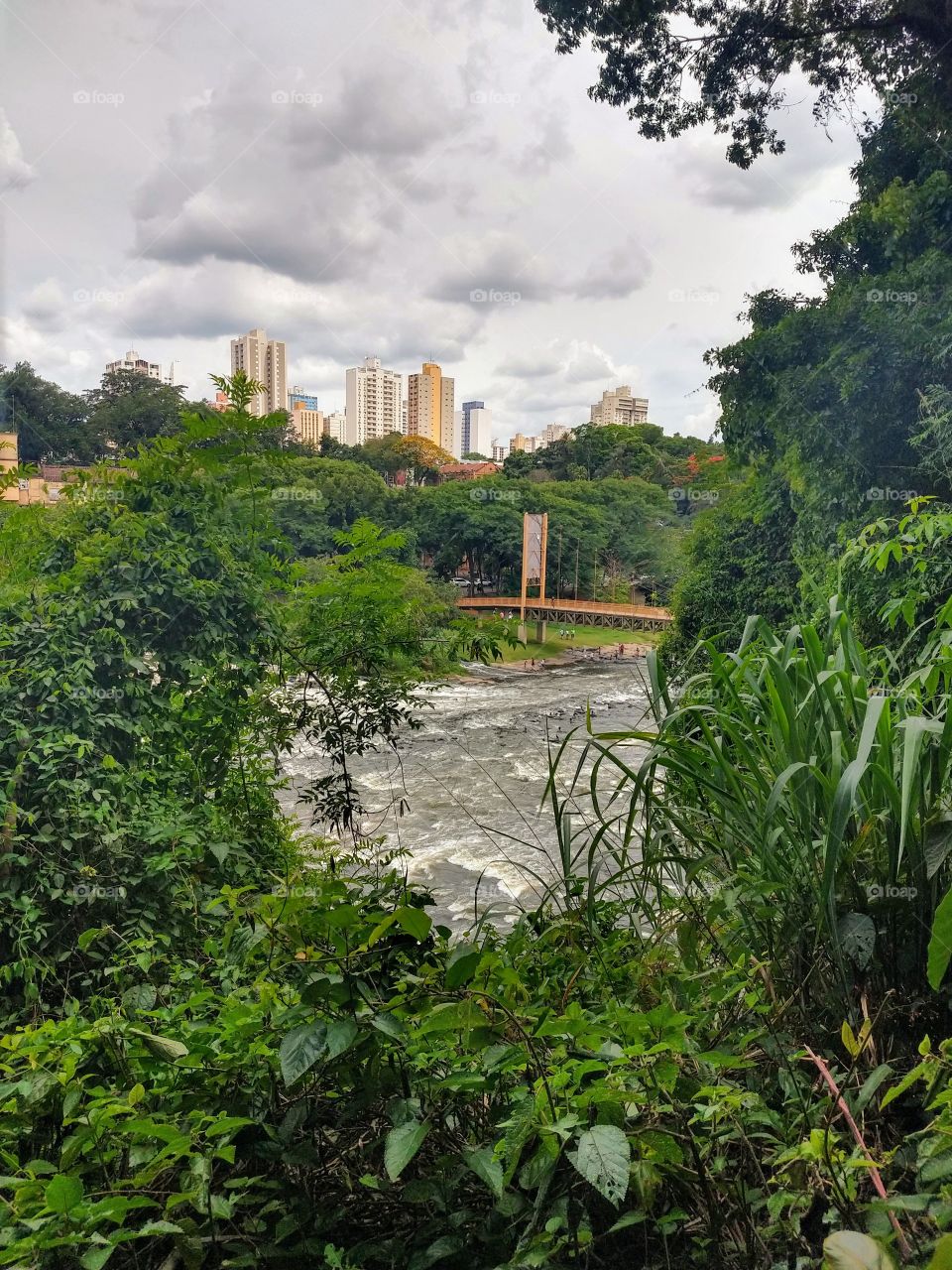 Bridge, nature and buidings from my town.