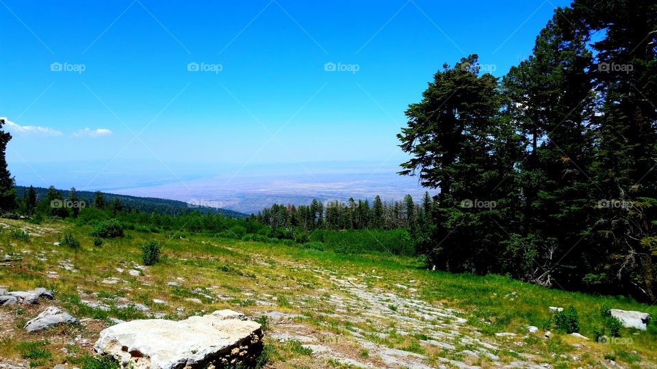 taking a little detour off the ling hike to find a beautiful view