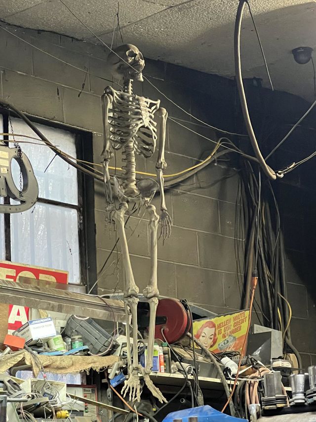 Skeleton 